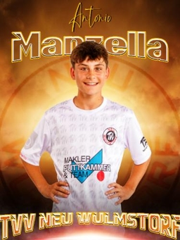 Avatar Bild für Antonio Manzella