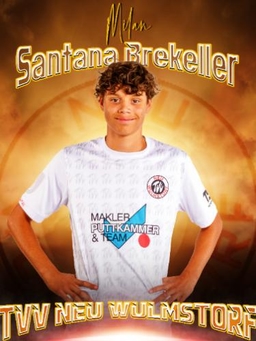 Avatar Bild für Milan Lucas Santana Brekeller