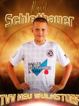 Avatar Bild für Miguel Schlethauer