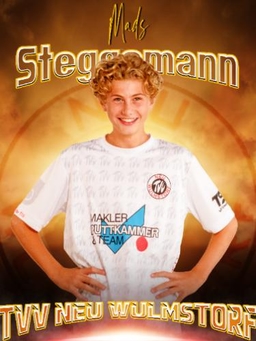 Avatar Bild für Mads Joko Steggemann