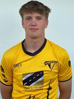 Avatar Bild für Niklas Preuss