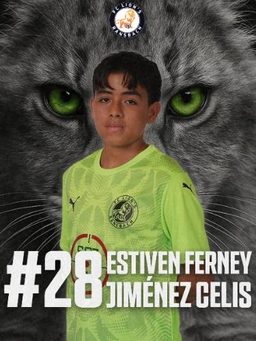 Avatar Bild für Estiven Ferney Jimenez Celis