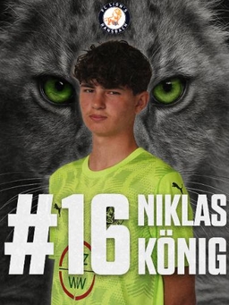 Avatar Bild für Niklas König