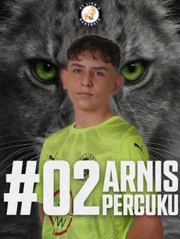 Avatar Bild für Arnis Percuku