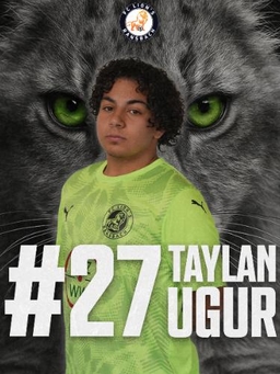 Avatar Bild für Taylan Ugur