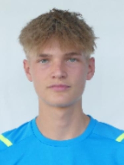 Avatar Bild für Henri Schürmann