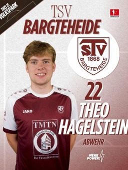 Avatar Bild für Theodor Oskar Hagelstein