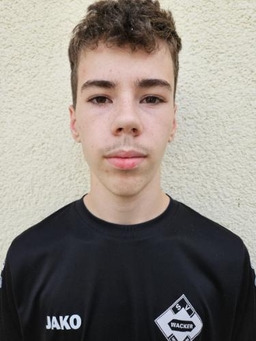 Avatar Bild für Max Linus Salzmann