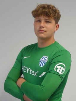 Avatar Bild für Emil Leitner