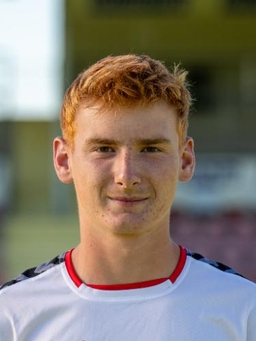 Avatar Bild für Hugo Wölfing