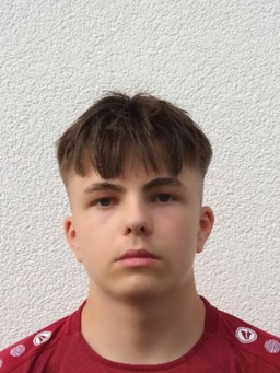 Avatar Bild für Luca Widiger