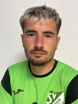Avatar Bild für Viktor Nikolaev Gitsov