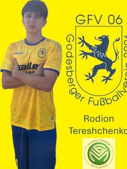 Avatar Bild für Rodion Tereshchenko
