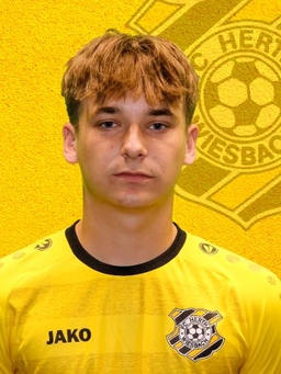 Avatar Bild für Vincent Alt