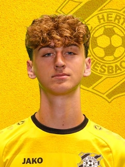 Avatar Bild für Niklas Klein