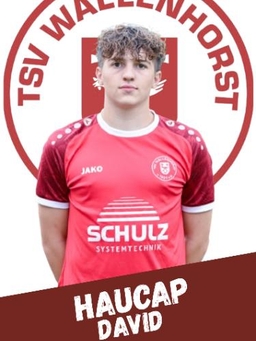 Avatar Bild für David Haucap