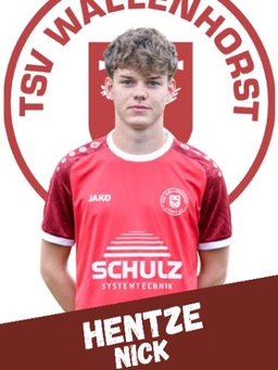 Avatar Bild für Nick Hentze