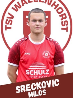 Avatar Bild für Milos Sreckovic