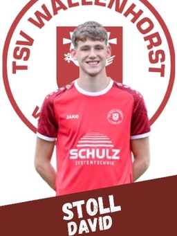Avatar Bild für David Stoll