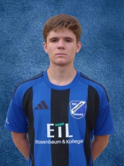Avatar Bild für Daniele Cebotarean