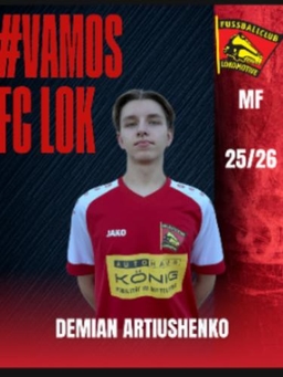 Avatar Bild für Demian Artiushenko