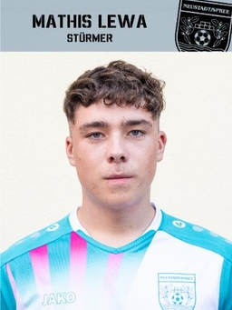 Avatar Bild für Mathis Lewa
