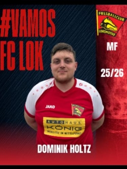 Avatar Bild für Dominik Holtz