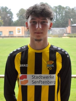 Avatar Bild für Marlon Ferenc Kassai