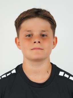 Avatar Bild für Louis Hugo Wagner
