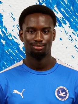 Avatar Bild für Josiah Borkwei