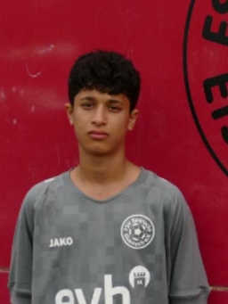 Avatar Bild für Hamze Alahmad