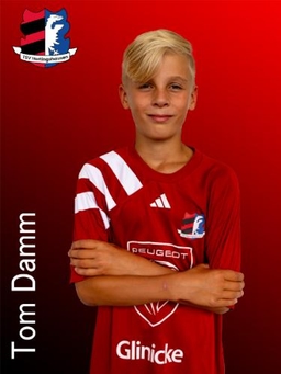 Avatar Bild für Tom Louis Damm