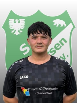 Avatar Bild für Morteza Ahmadi