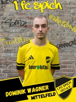 Avatar Bild für Dominik Wagner