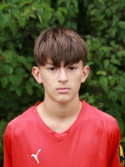 Avatar Bild für Tom Gorke