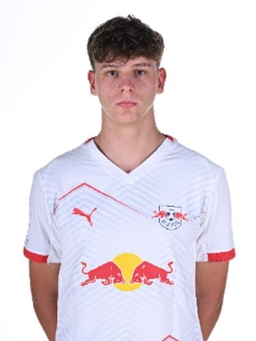 Avatar Bild für Luis Michel
