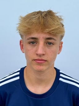 Avatar Bild für Henri Elias Willem Neumann