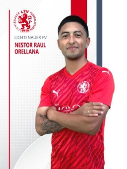 Avatar Bild für Nestor Raul Orellana