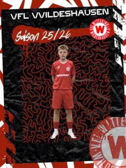 Avatar Bild für Jonte Wulfert