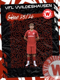 Avatar Bild für Daniel Krebenstein