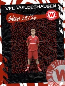 Avatar Bild für Silas Liam Carlo Allmandinger