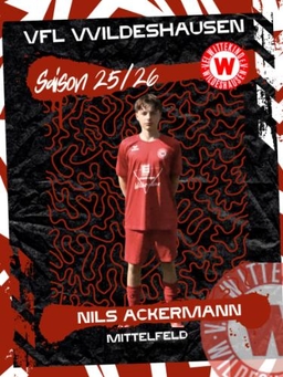 Avatar Bild für Nils Ackermann