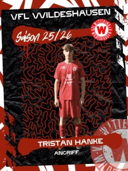 Avatar Bild für Tristan Hanke