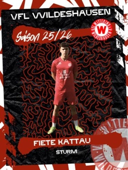 Avatar Bild für Fiete Kattau