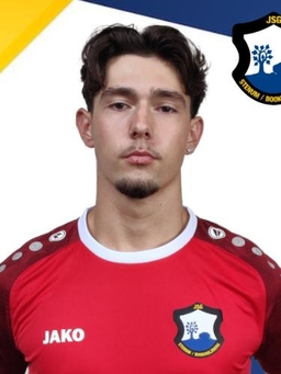 Avatar Bild für Niklas Kollek