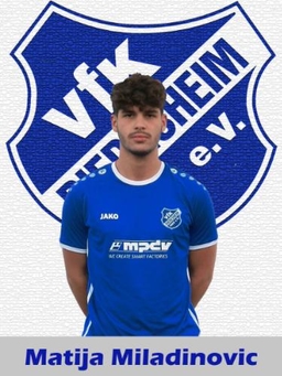 Avatar Bild für Matija Miladinovic
