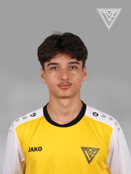 Avatar Bild für Nico Mesgari