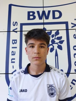 Avatar Bild für Sadruddin Karimi