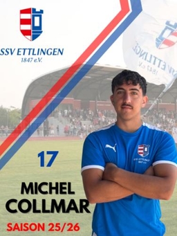 Avatar Bild für Michel Collmar