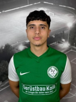 Avatar Bild für Albion Mecini